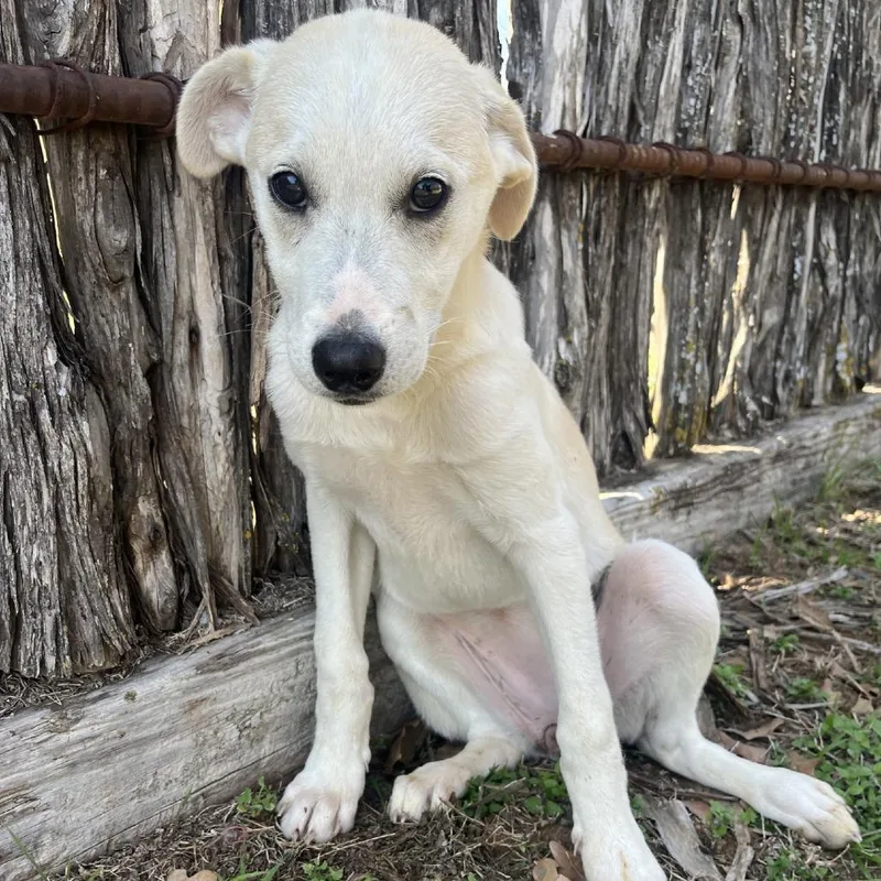 Quinnley thumbnail 3