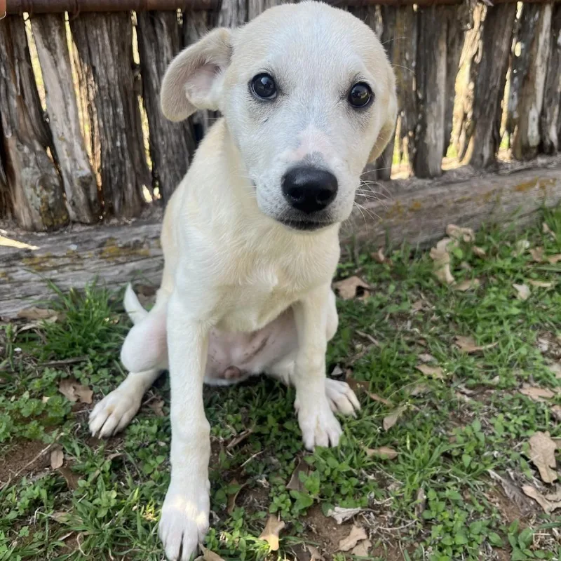 Quinnley thumbnail 4