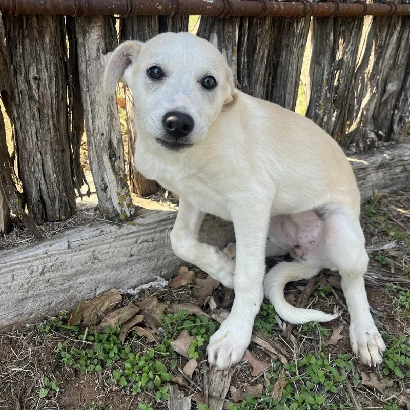 Quinnley thumbnail 5