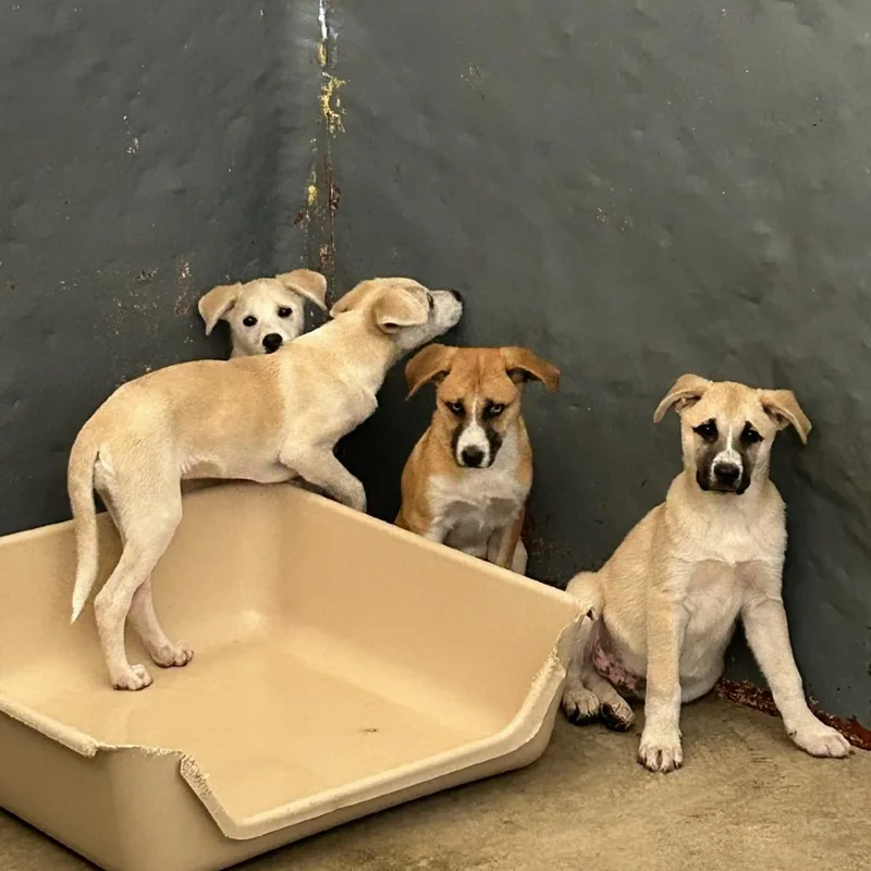 Quinnley thumbnail 6