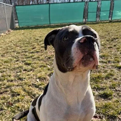 Don Gerald thumbnail 2