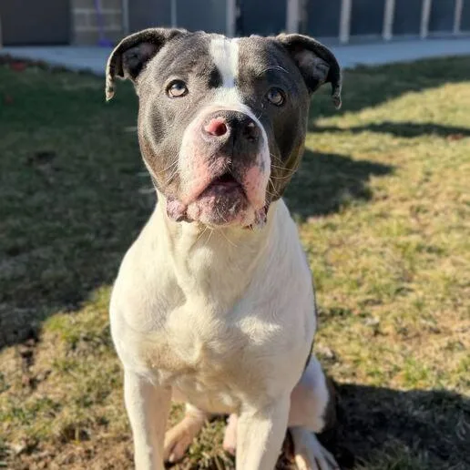 Don Gerald thumbnail 3