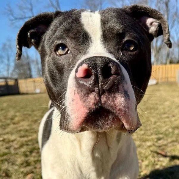 Don Gerald thumbnail 4