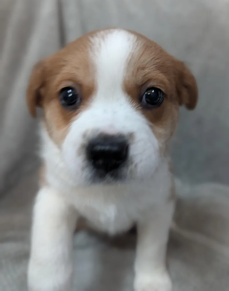 Martha May Who thumbnail 2