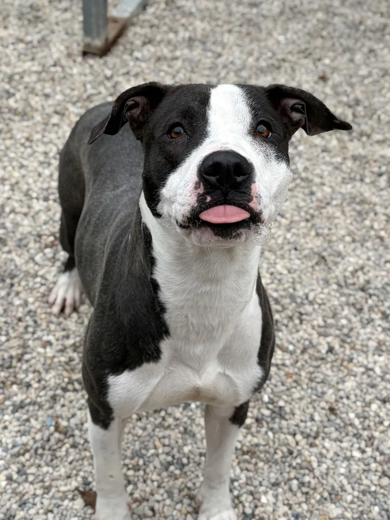 Josephine thumbnail 2