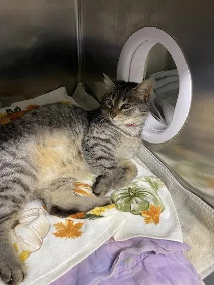 Catherine thumbnail 2