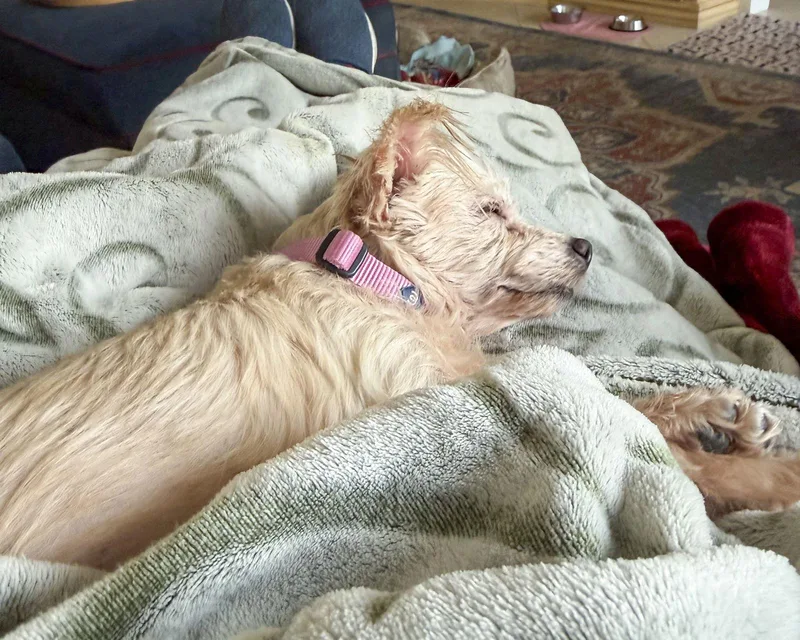 Betty thumbnail 2