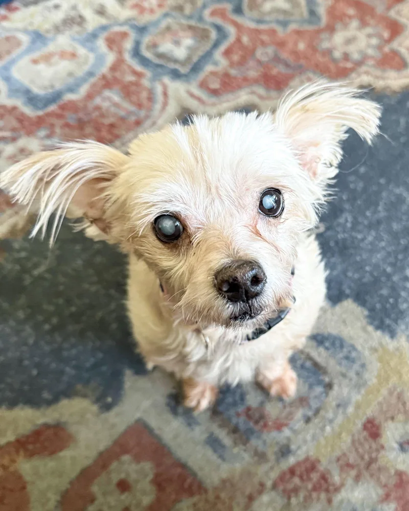 Betty thumbnail 3