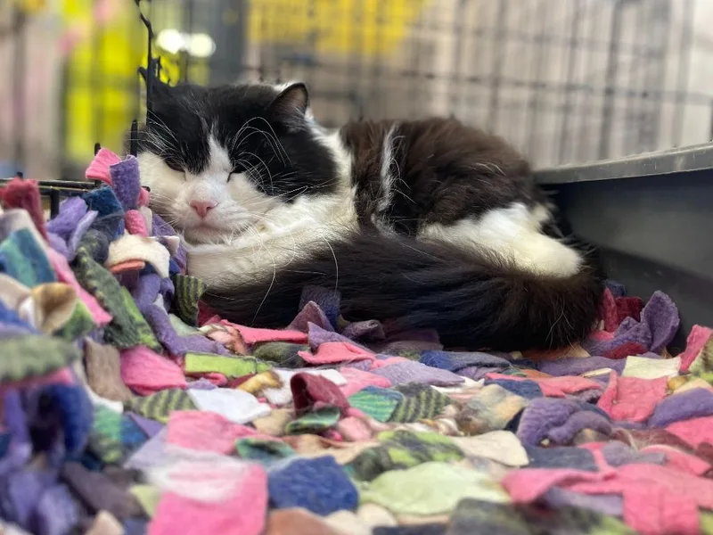 Lightning thumbnail 2