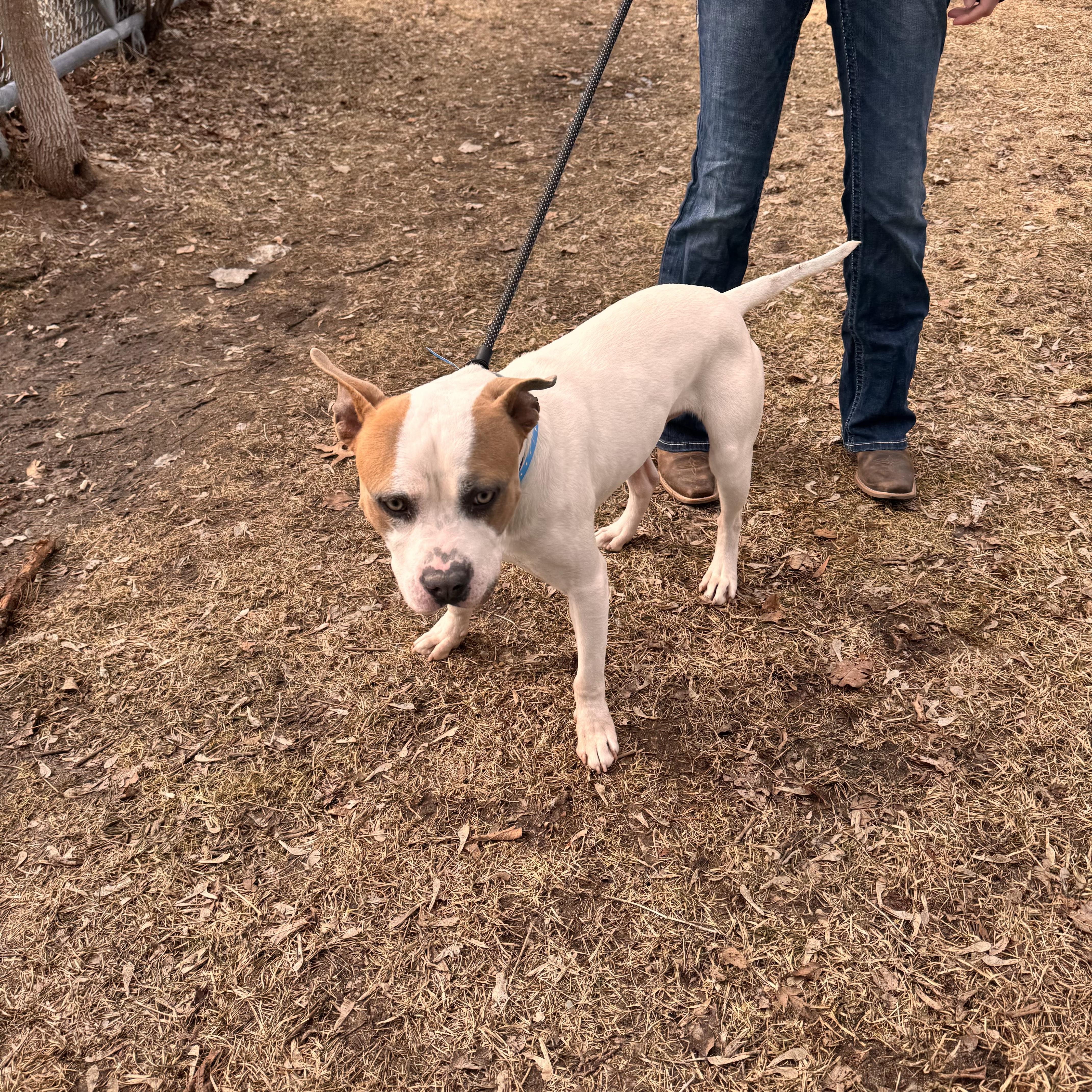 Nautical thumbnail 2