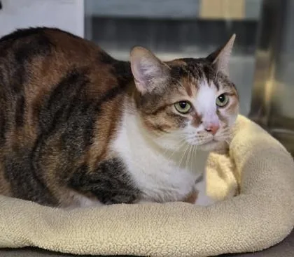 Willamina thumbnail 2