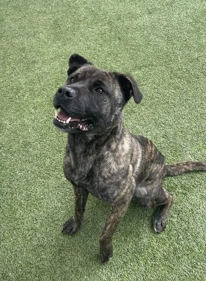 Wrinkles thumbnail 3