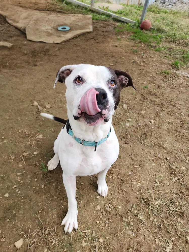 King Zeus thumbnail 3