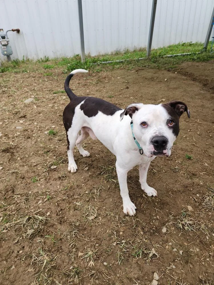 King Zeus thumbnail 4