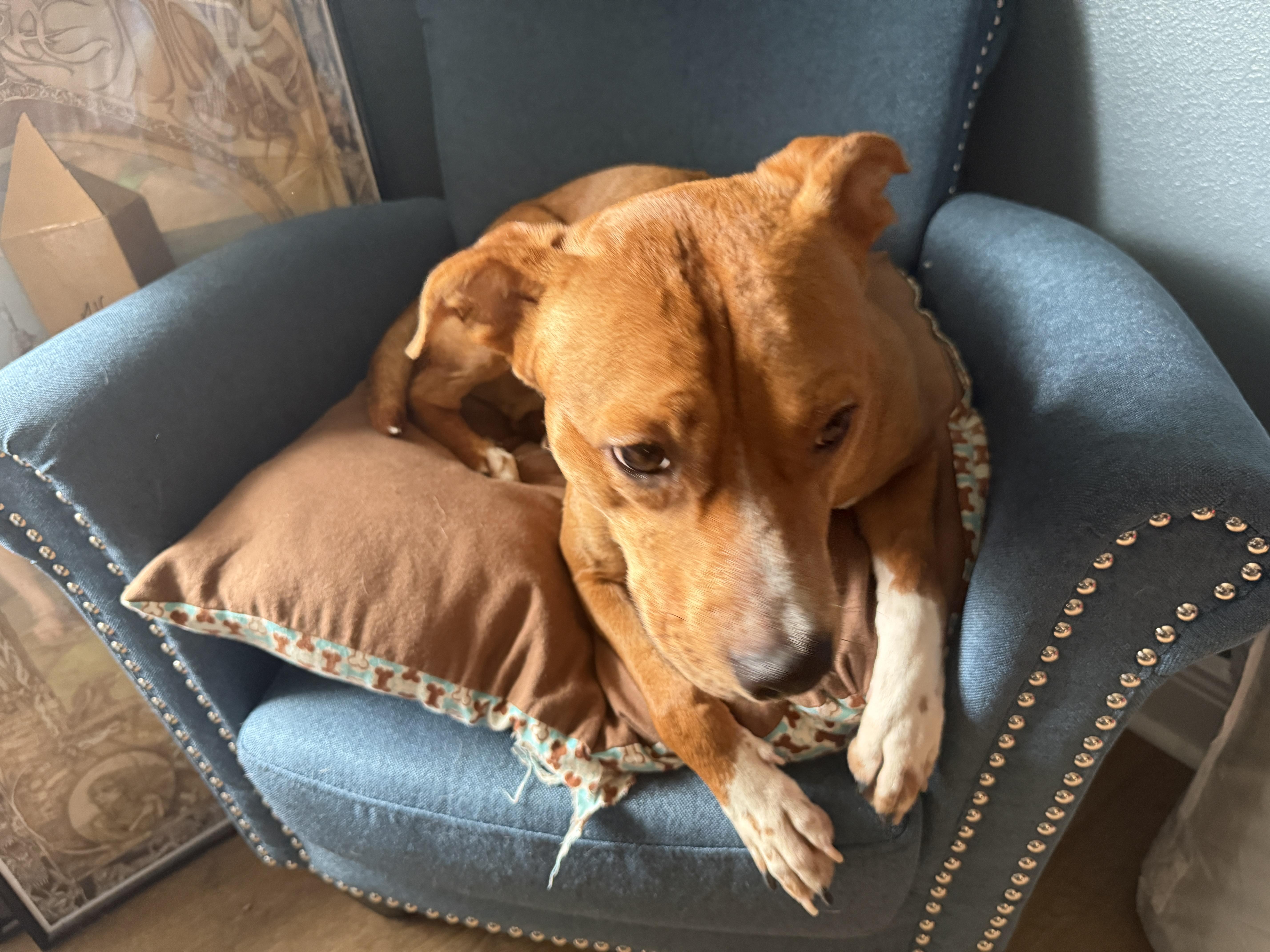 Ned!  Total Sweetheart!!!! thumbnail 3