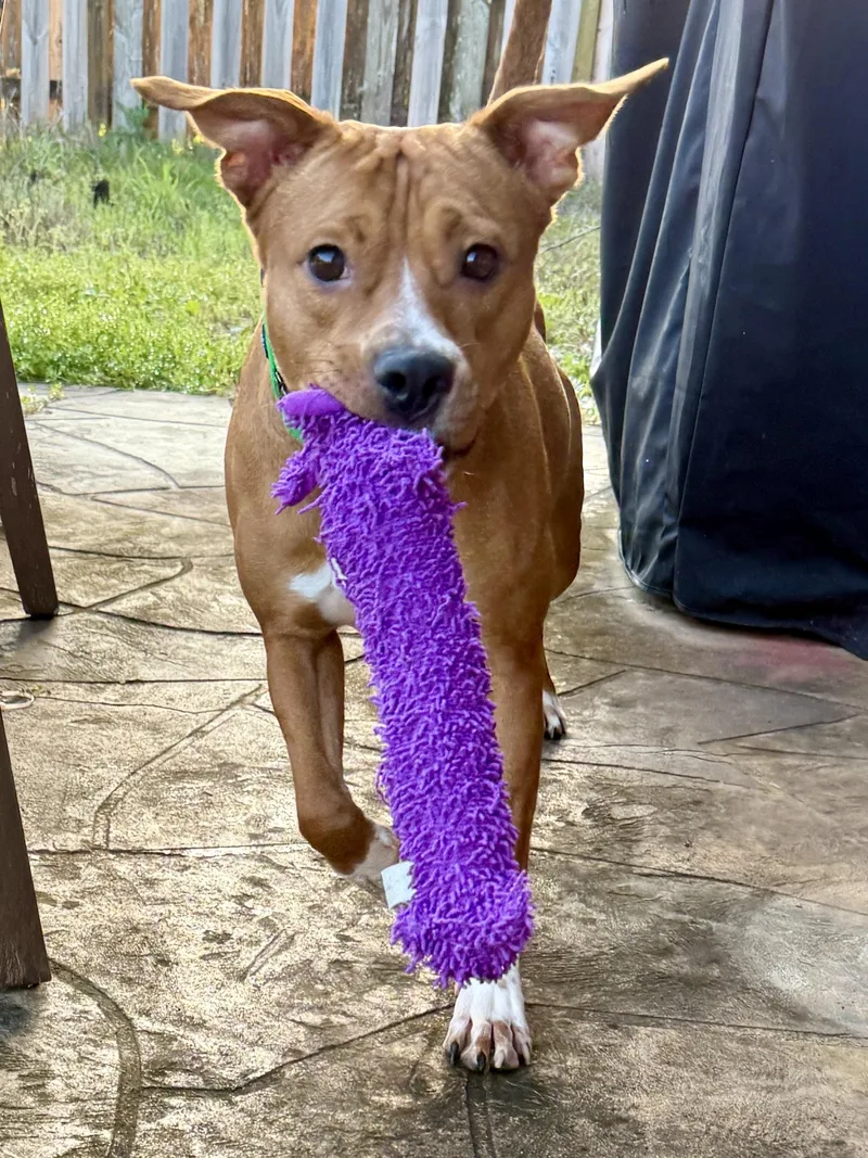 Ned!  Total Sweetheart!!!!