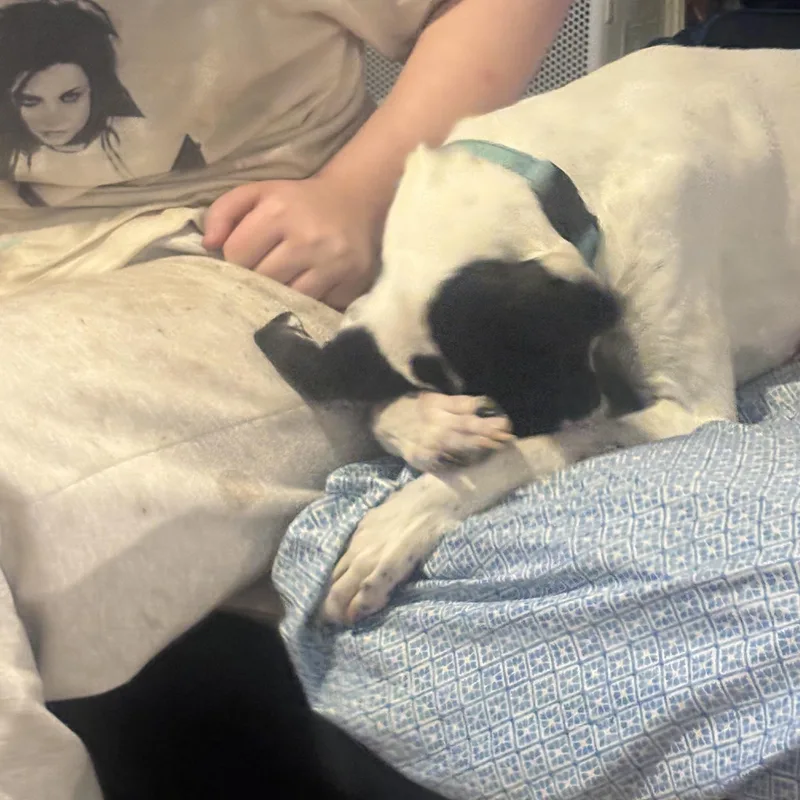 Chase!!!!   Lbs! thumbnail 5