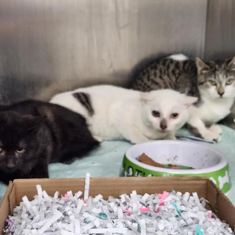 Clayface thumbnail 4