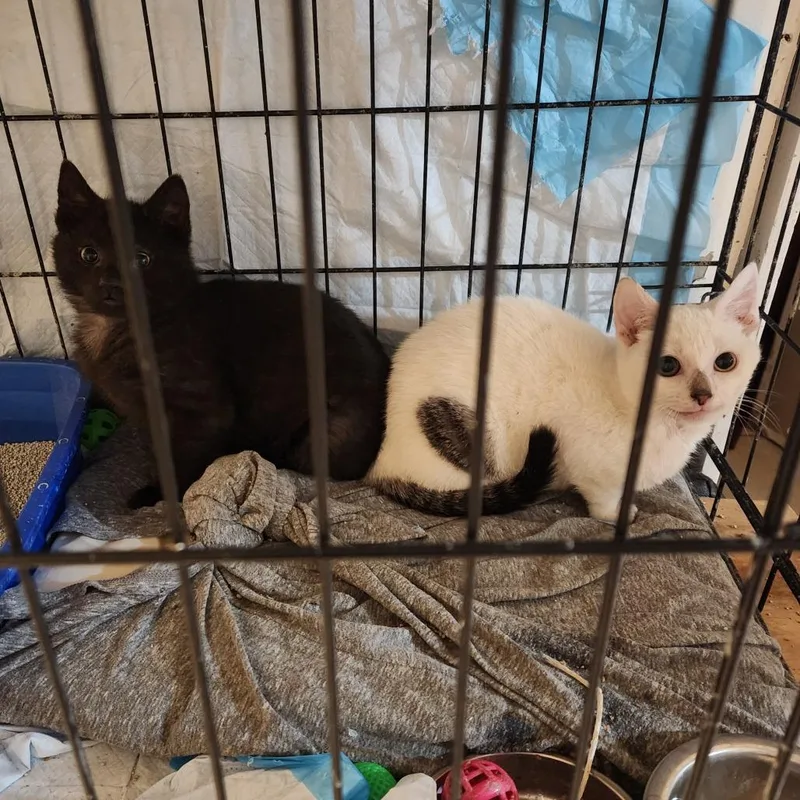 Clayface thumbnail 5