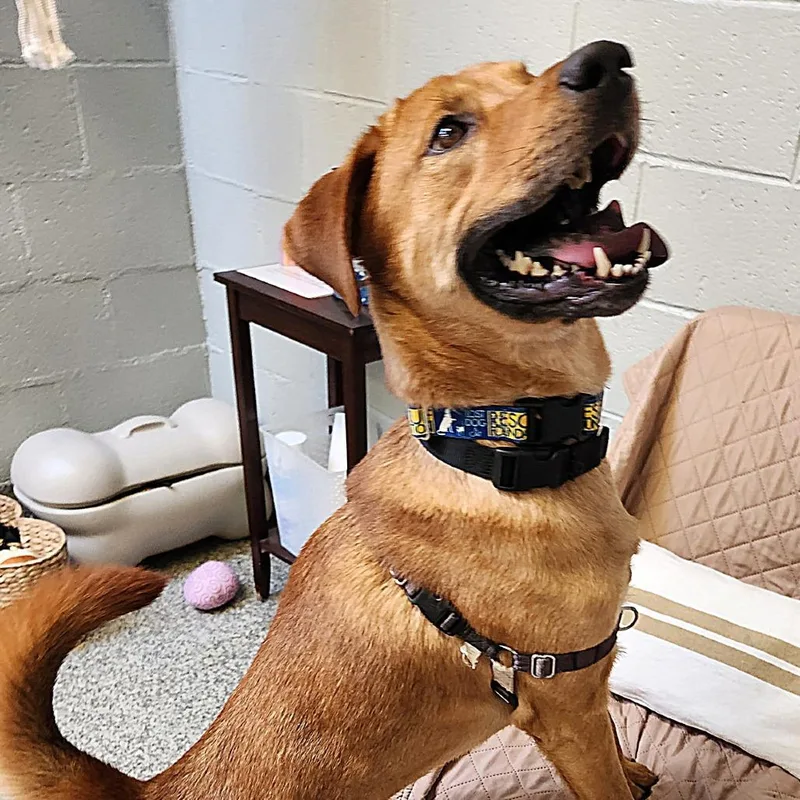 Buddy James thumbnail 4