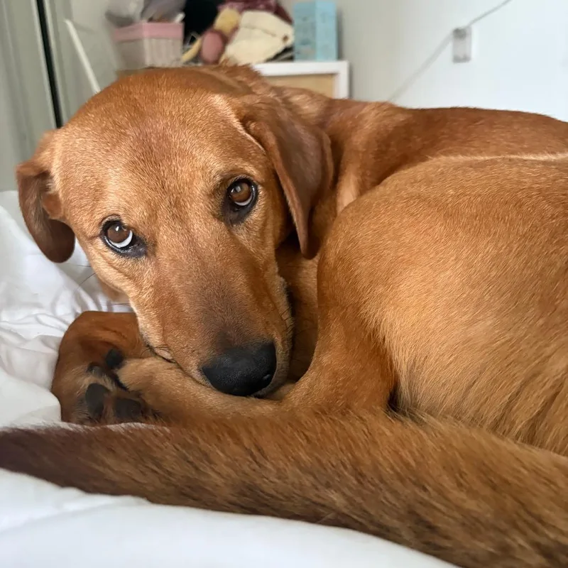 Buddy James thumbnail 5