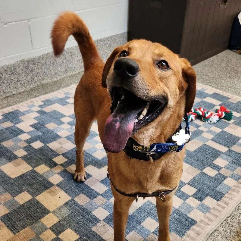 Buddy James thumbnail 6