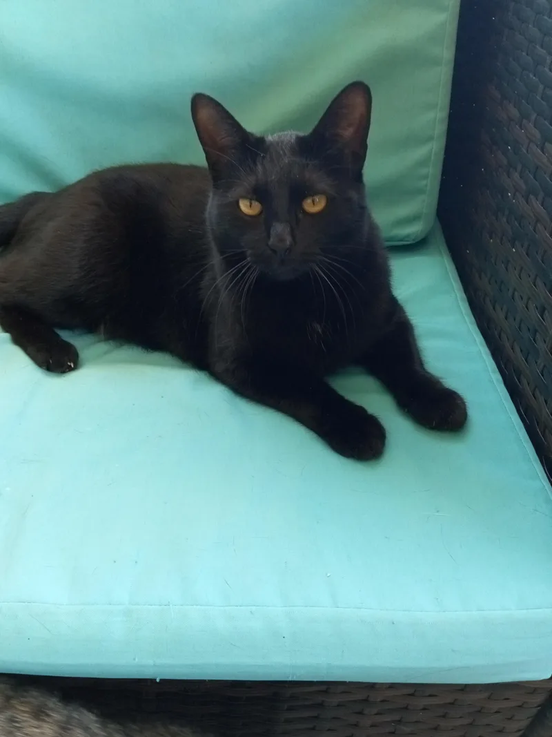 Sadie H. thumbnail 3