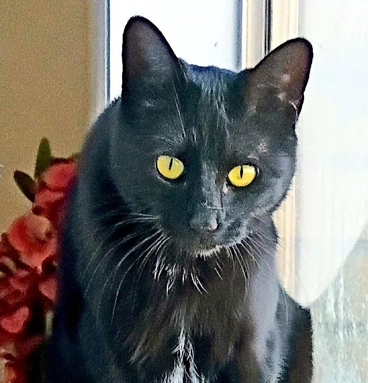 Sadie H. thumbnail 5