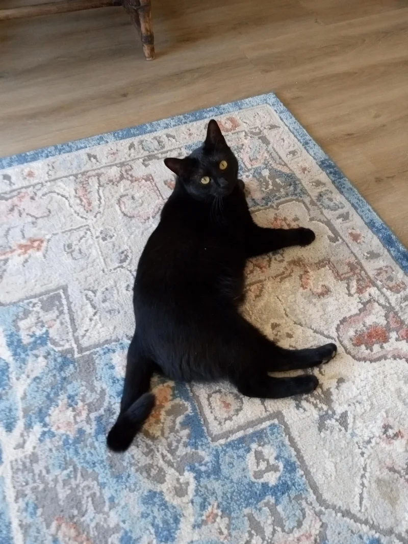 Sadie H. thumbnail 6