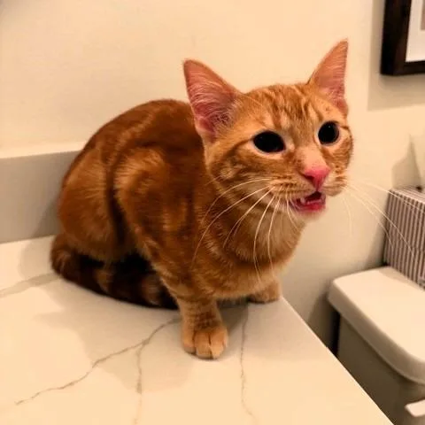 Garfield thumbnail 3