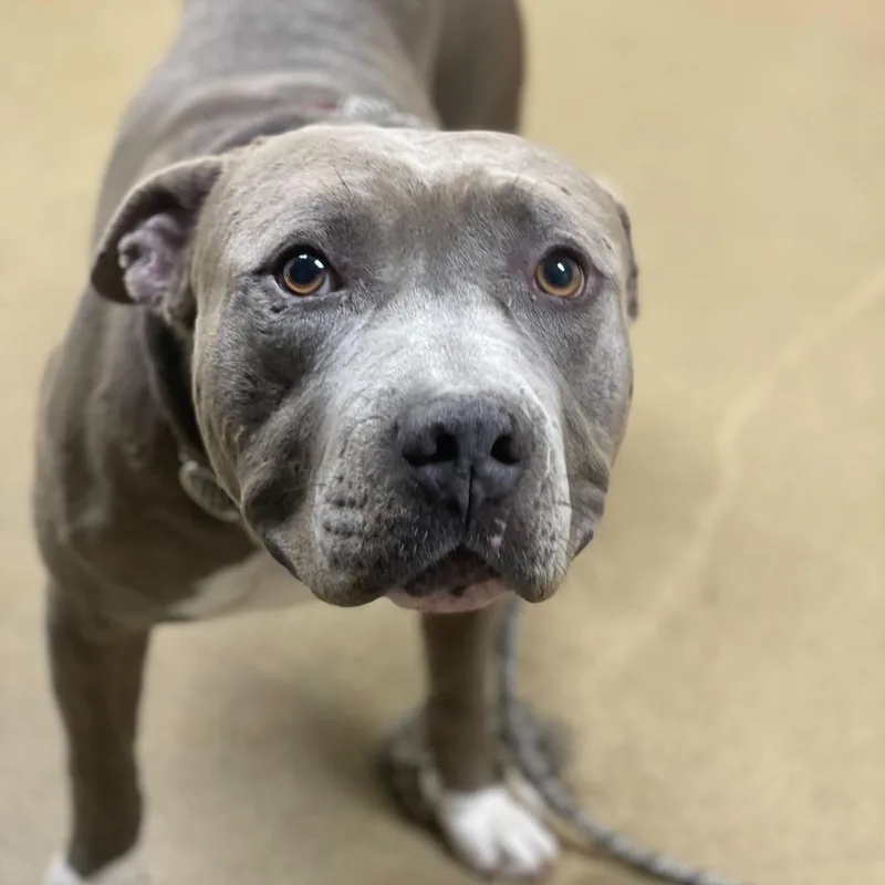 Jerry Blu thumbnail 2