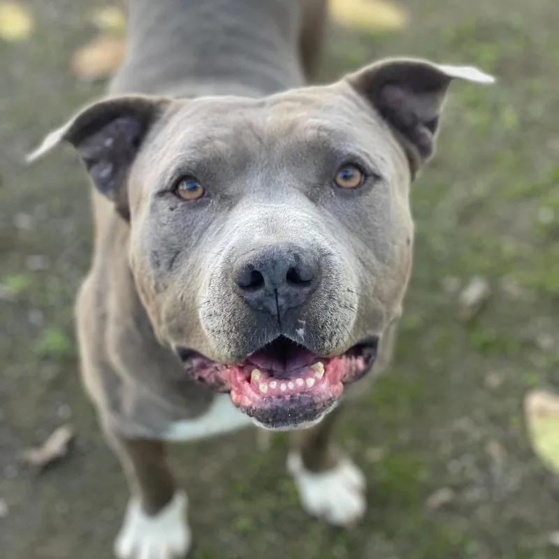 Jerry Blu thumbnail 3