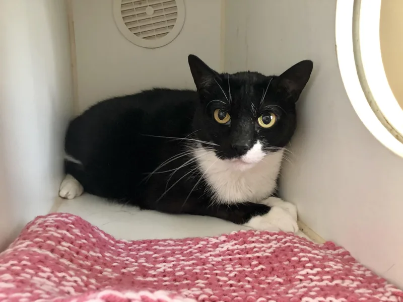 Drake And Meow Meow thumbnail 4