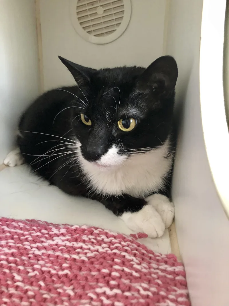 Drake And Meow Meow thumbnail 5