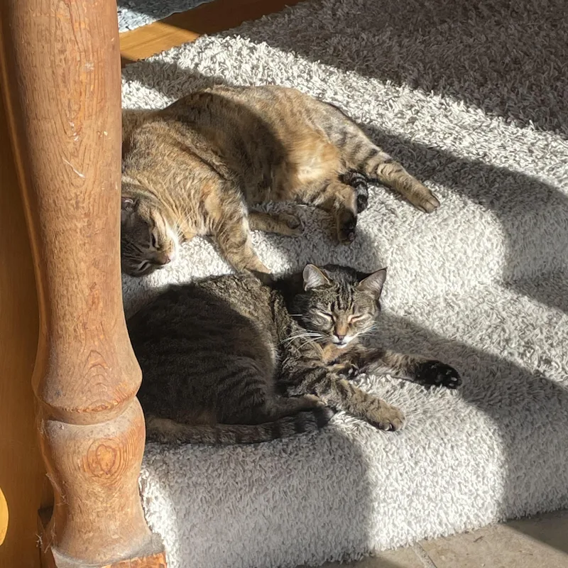 Courtesy Betsy & Sara