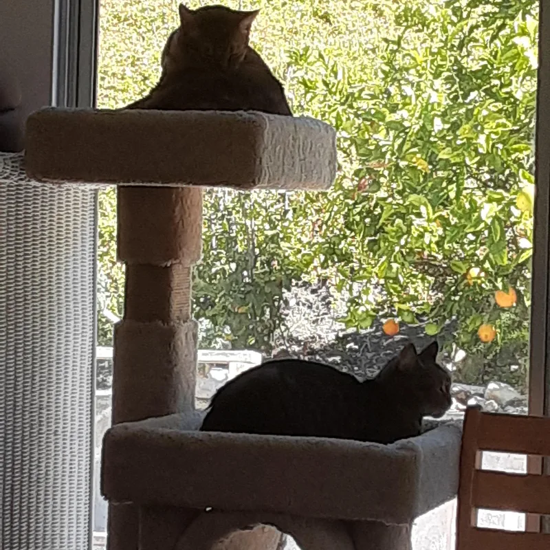 Courtesy Betsy & Sara thumbnail 2