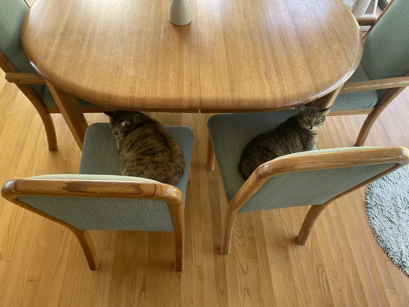 Courtesy Betsy & Sara thumbnail 3