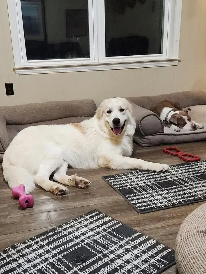 Smokey Marshmellow thumbnail 2