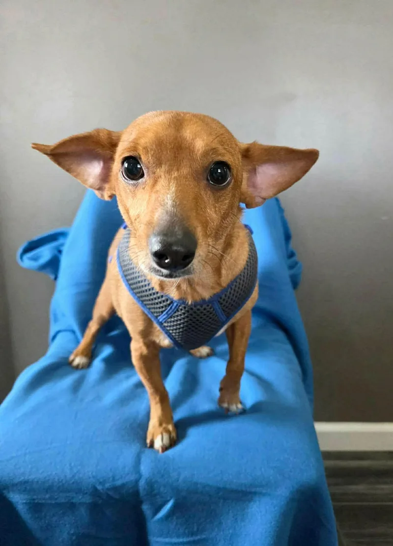 Winthrop thumbnail 2