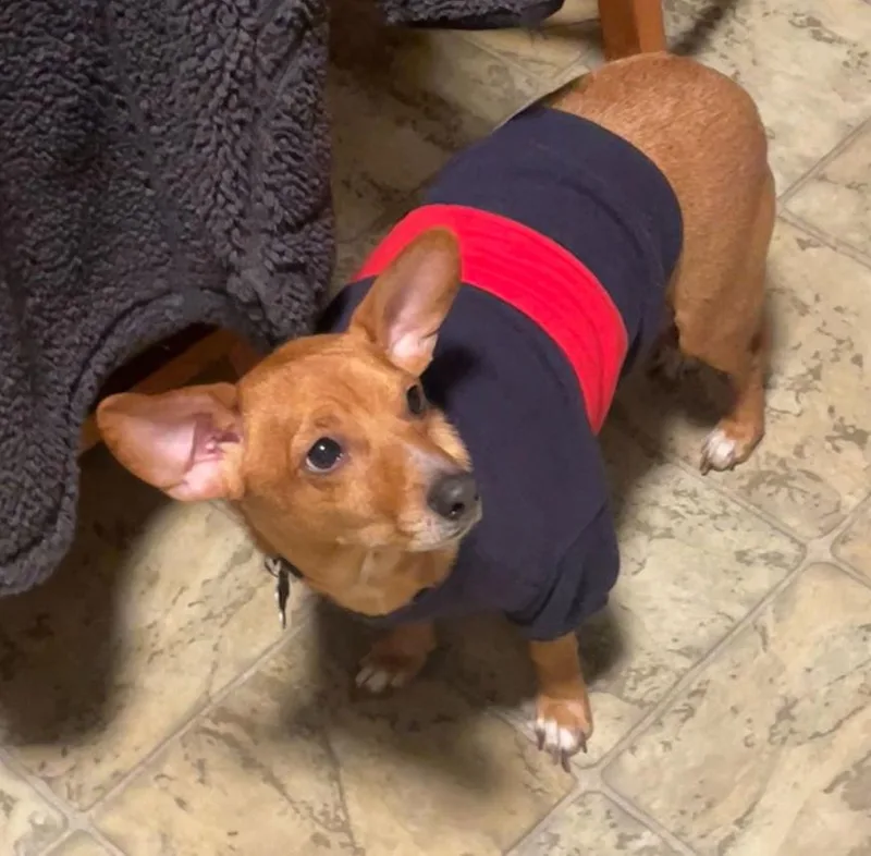 Winthrop thumbnail 3