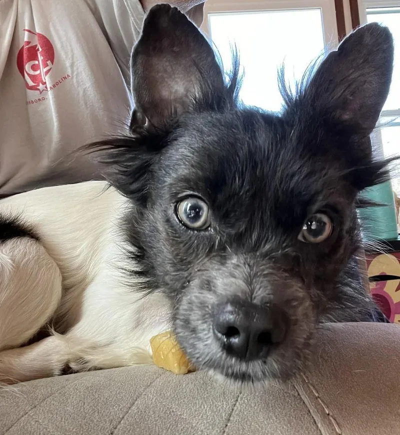 Terrance thumbnail 2