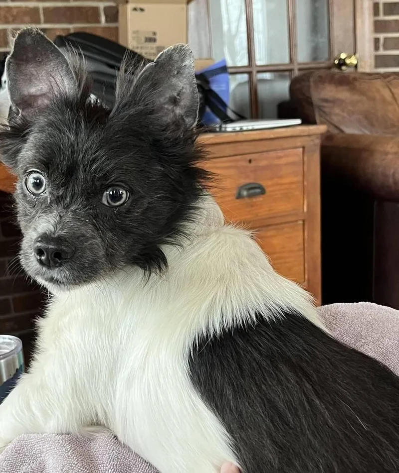 Terrance thumbnail 3