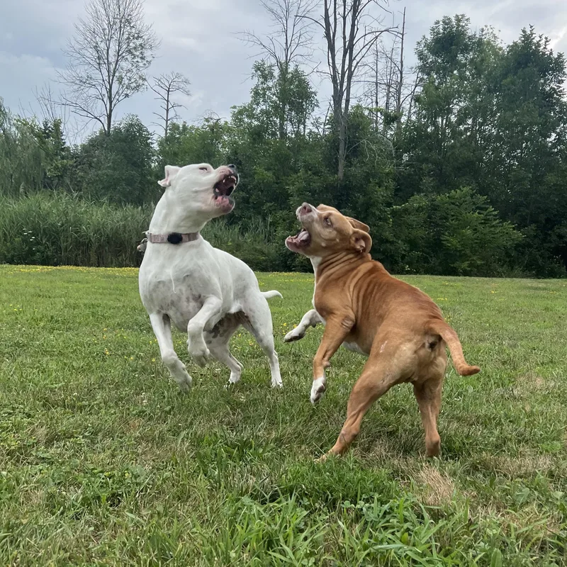 Most Incredible Sky! thumbnail 2