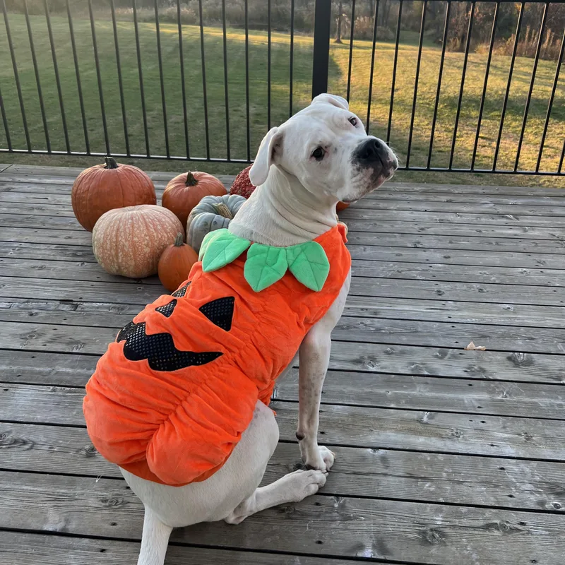 Most Incredible Sky! thumbnail 3