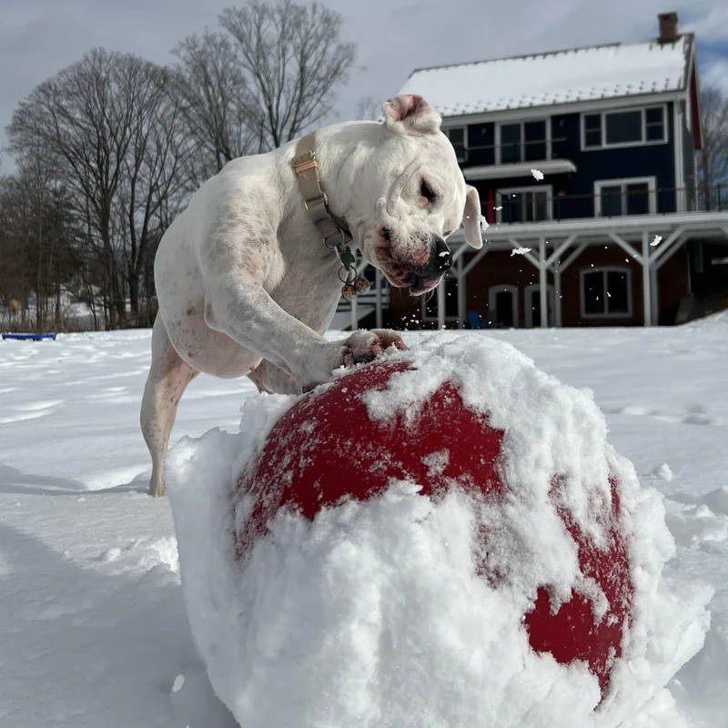 Most Incredible Sky! thumbnail 4