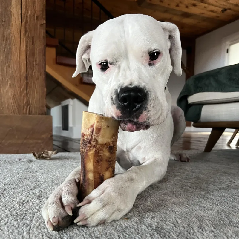 Most Incredible Sky! thumbnail 5