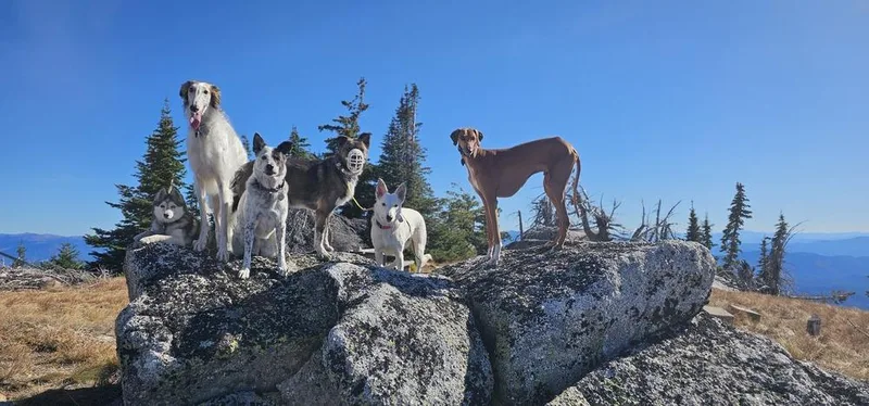 Texas Tornado thumbnail 4