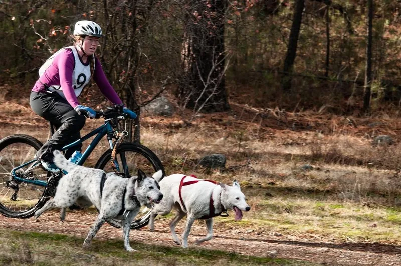 Texas Tornado thumbnail 6