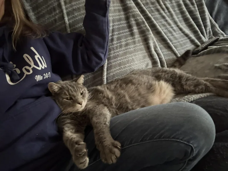 Marguerite thumbnail 3