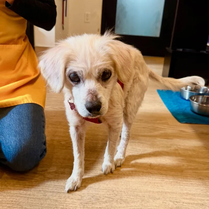 Lovelight thumbnail 4